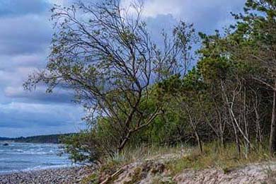 摇号查询北京官网，中签率飙升的秘密藏在这儿！