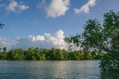 摇号查询北京官网，中签率飙升的秘密藏在这儿！