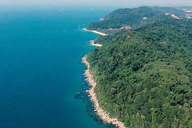 为何上海近期无症状感染者较多？背后原因揭秘